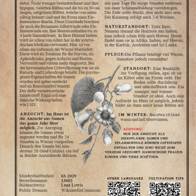 Hawaiian Woodrose