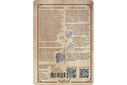 Himmelblaue Prunkwinde