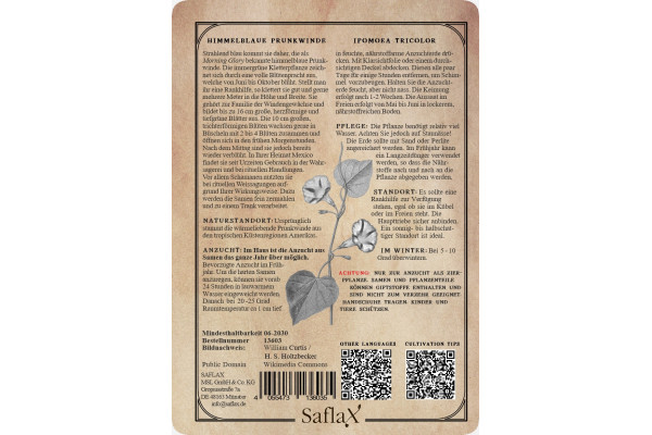 Himmelblaue Prunkwinde
