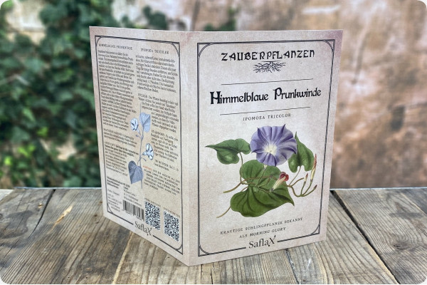 Himmelblaue Prunkwinde