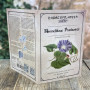 Himmelblaue Prunkwinde