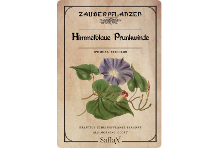 Himmelblaue Prunkwinde