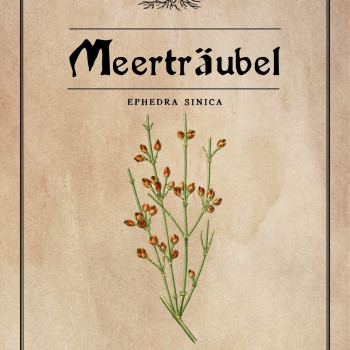 Meerträubel