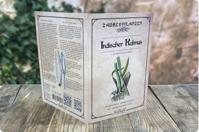 Calamus indien