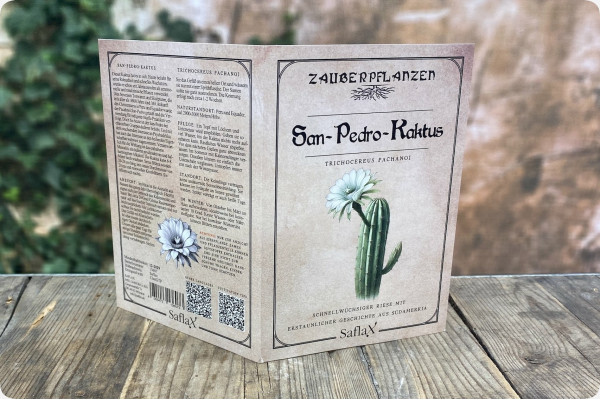 San Pedro cactus