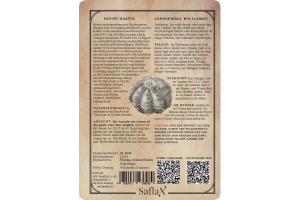 Peyote cactus seeds