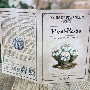 Peyote Kaktus Samen