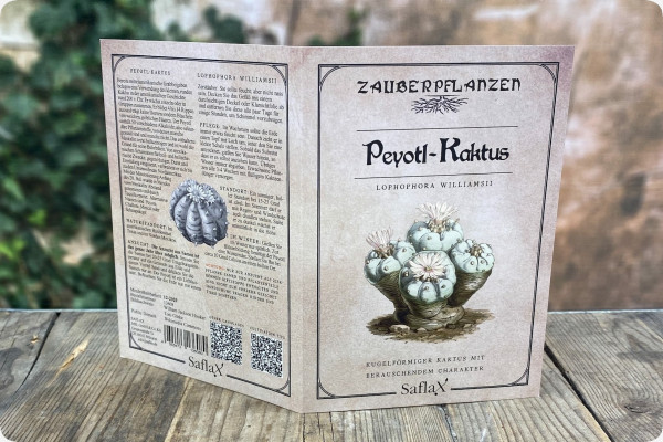 Peyote cactus seeds