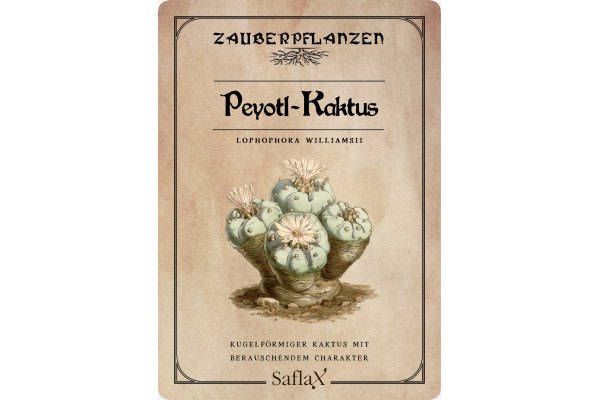 Peyote cactus seeds