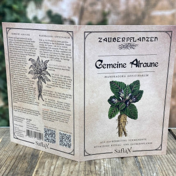 Gemeine Alraune