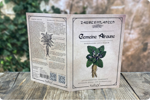 Gemeine Alraune