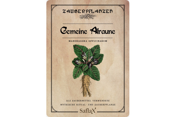 Gemeine Alraune