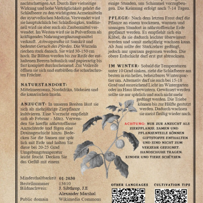 Schlafbeere