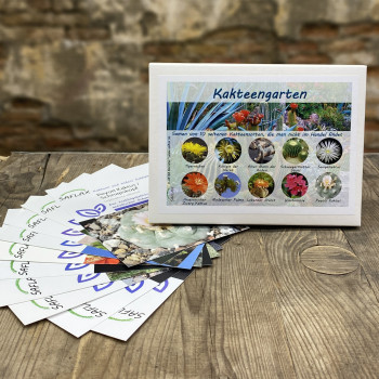 Cactus garden - Seed set