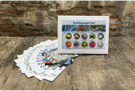 Kakteengarten - Samenset