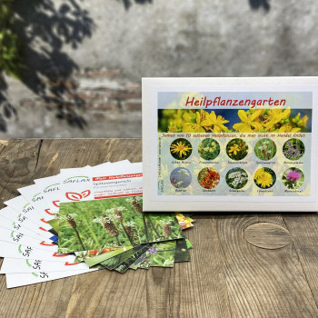 Medical plants garden - Seed set