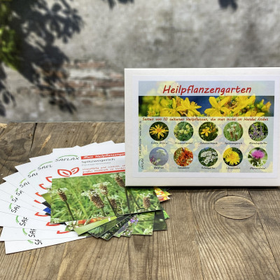 Medical plants garden - Seed set