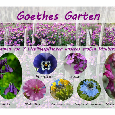 Goethes Garten - Samenset
