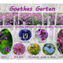 Goethe's garden - Seed set