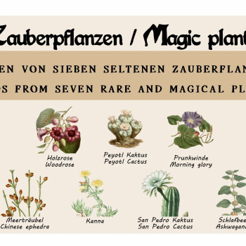 Magic plants - Seed set