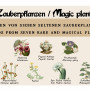 Magic plants - Seed set