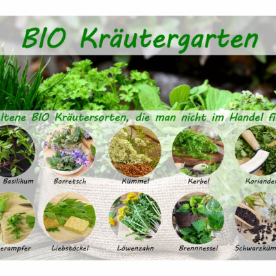 Organic - Herb garden - Seed set