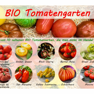 Organic - Tomato garden - Seed set