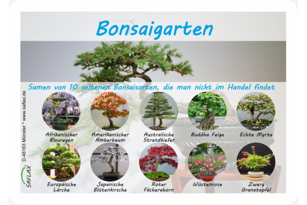 Bonsai garden - Seed set
