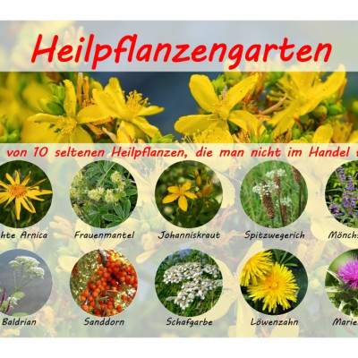 Medical plants garden - Seed set