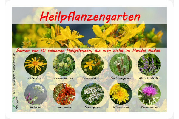 Medical plants garden - Seed set