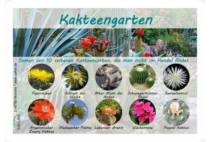 Kakteengarten - Samenset