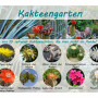 Cactus garden - Seed set