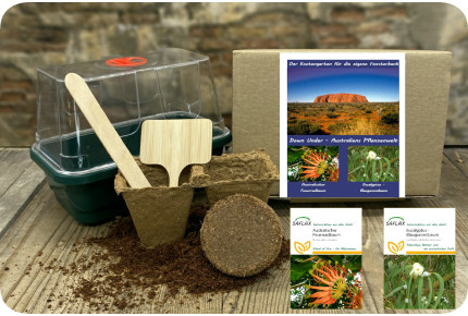 Anzuchtset - Australiens Pflanzenwelt