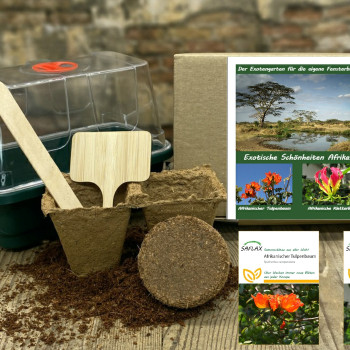 Growing kit - Exotic beauties of Africa
