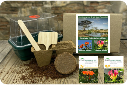 Anzuchtset - Exotische Schönheiten Afrikas