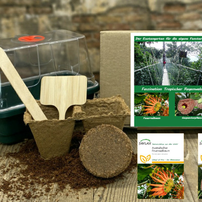 Growing kit - Fascination Tropical Rainforest