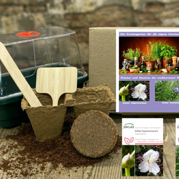 Growing kit - Herbs and spices of Mediterranean cuisine