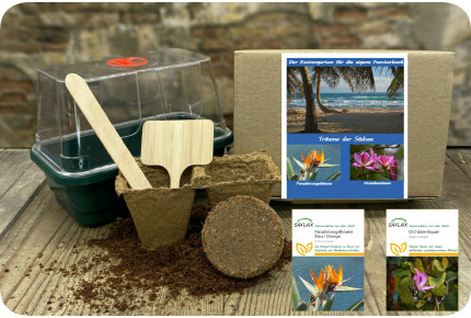 Anzuchtset - Träume der Südsee