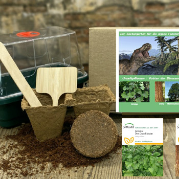 Growing kit - Prehistoric plants - Food of the dinosaurs