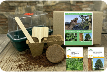 Growing kit - Prehistoric plants - Food of the dinosaurs