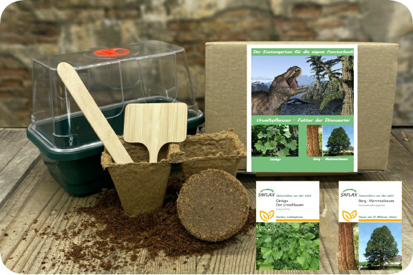 Growing kit - Prehistoric plants - Food of the dinosaurs