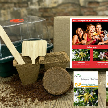 Growing kit - Ladies Night