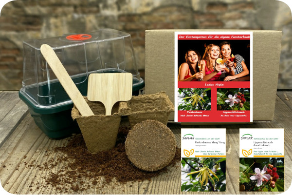 Growing kit - Ladies Night