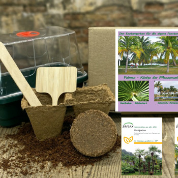 Growing kit - Palms - Kings of the plant world