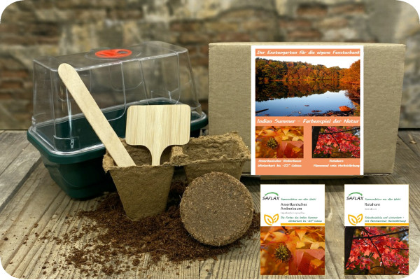 Growing kit - Indian Summer
