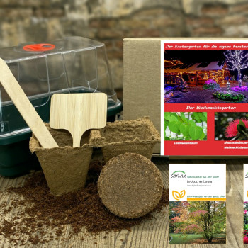 Growing kit - Christmas garden