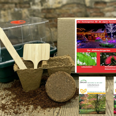 Growing kit - Christmas garden