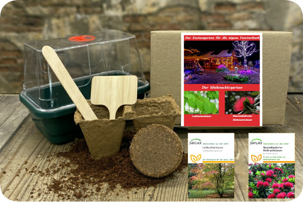 Growing kit - Christmas garden