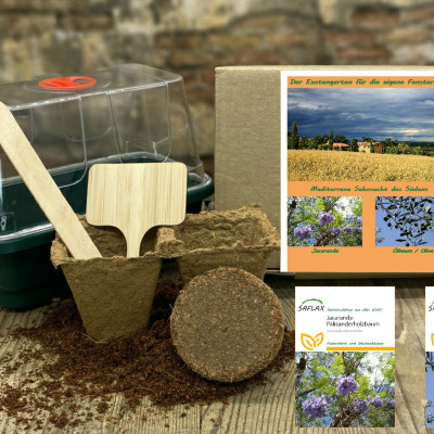 Growing kit - Mediterranean longing of the South