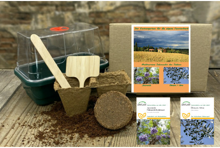 Growing kit - Mediterranean longing of the south